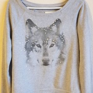 Hollister Wolf Sequin Sweater